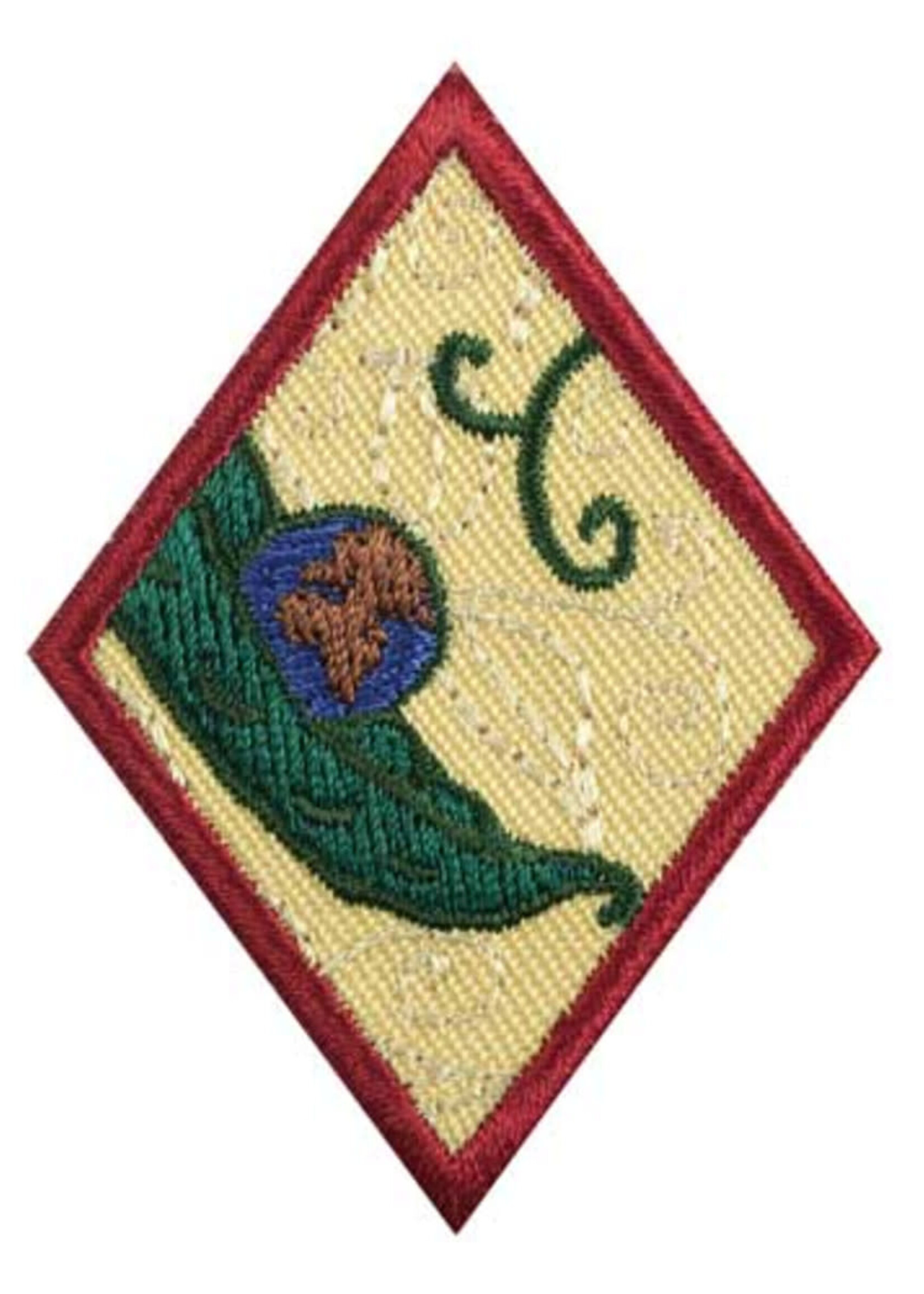 Cadette New Cuisine Badge