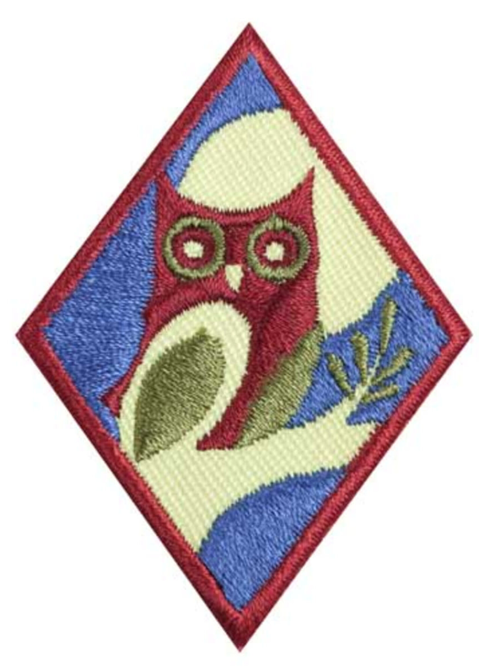 Cadette Night Owl Badge