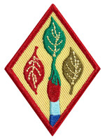 C OUTDOOR ART APPRENTICE BADGE