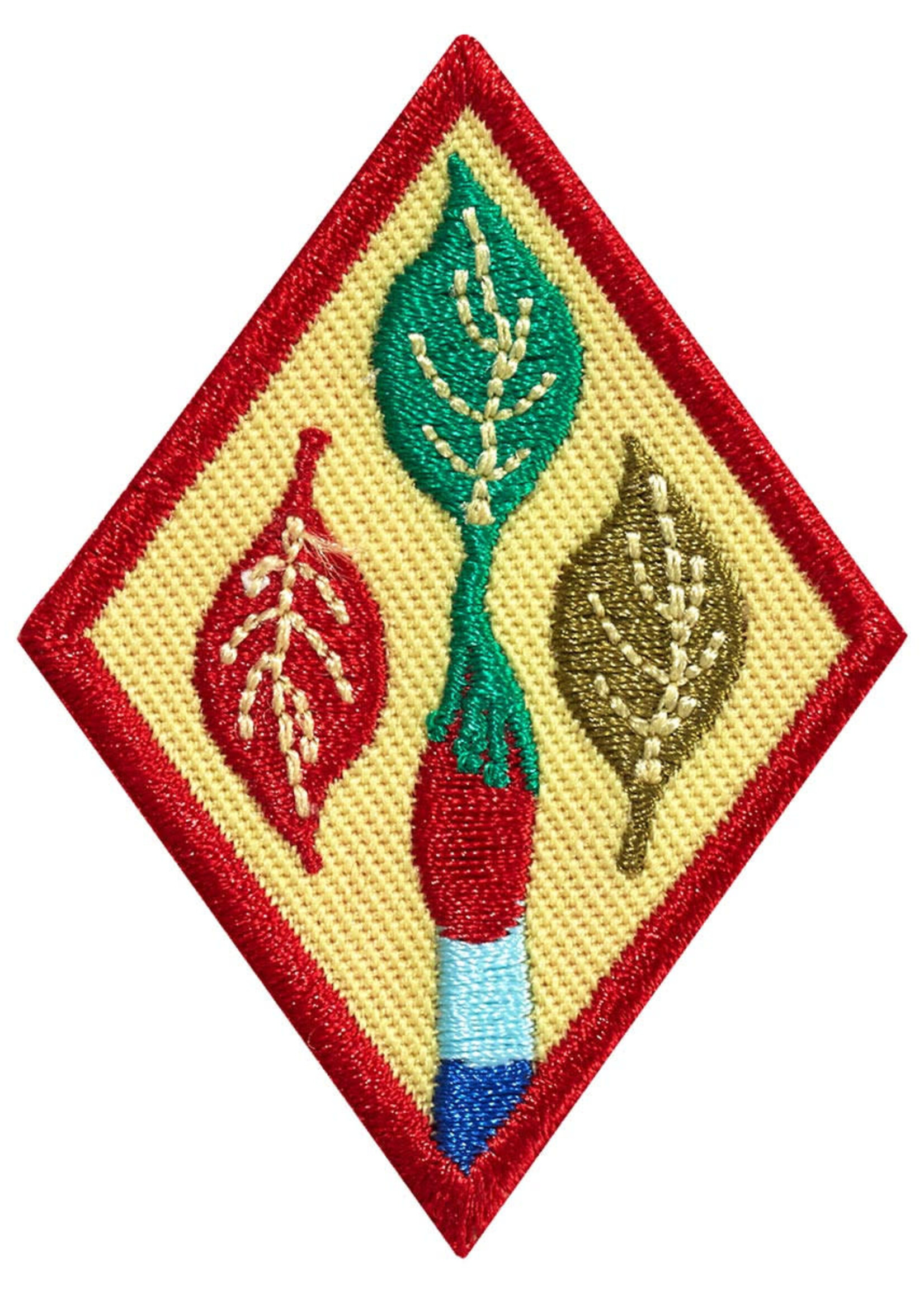 Cadette Oudoort Art Apprentice Badge