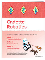 Cadette Robotics Badge Requirements