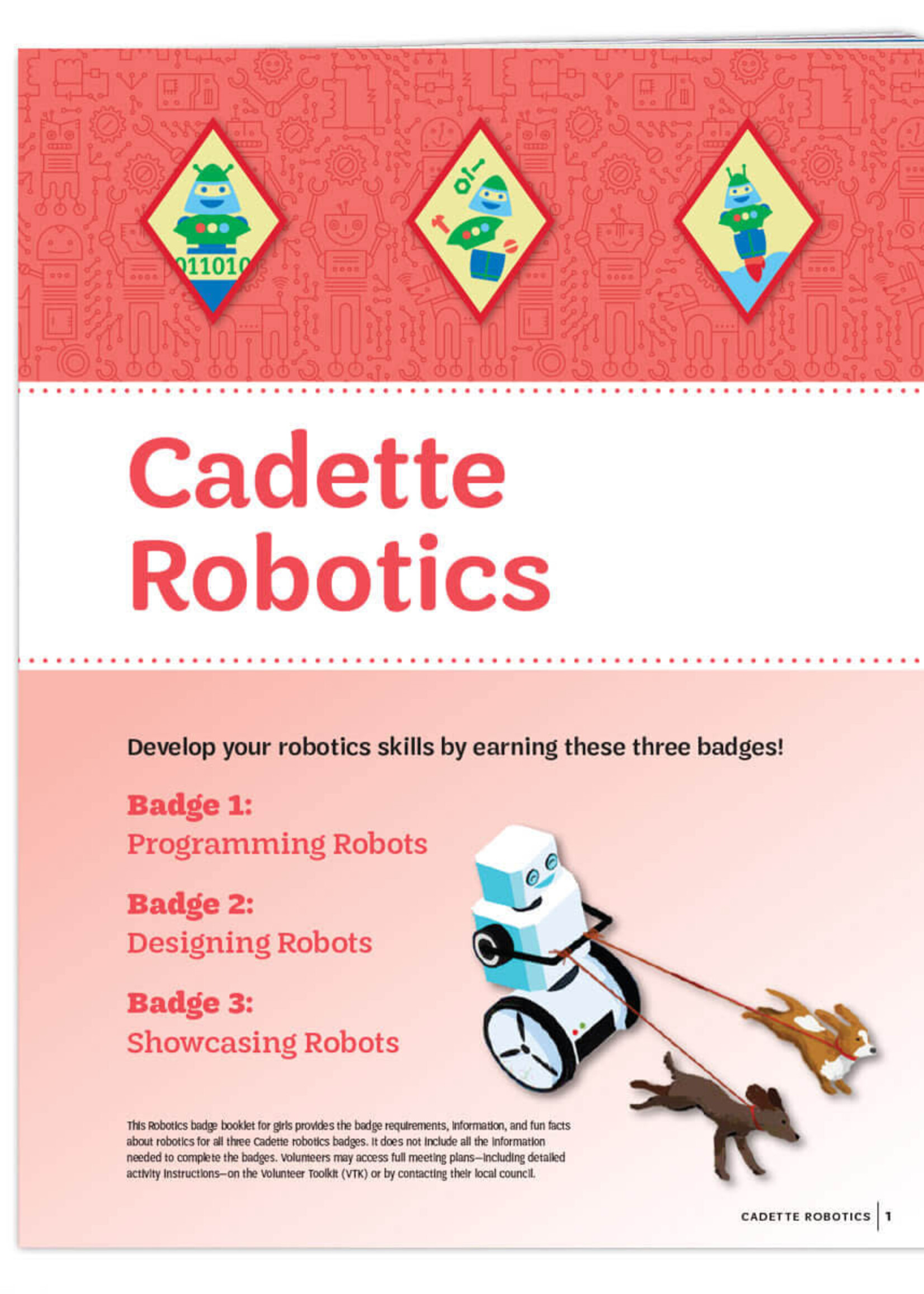 Cadette Robotics Badge Requirements