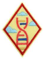 Cadette Stem Career Badge