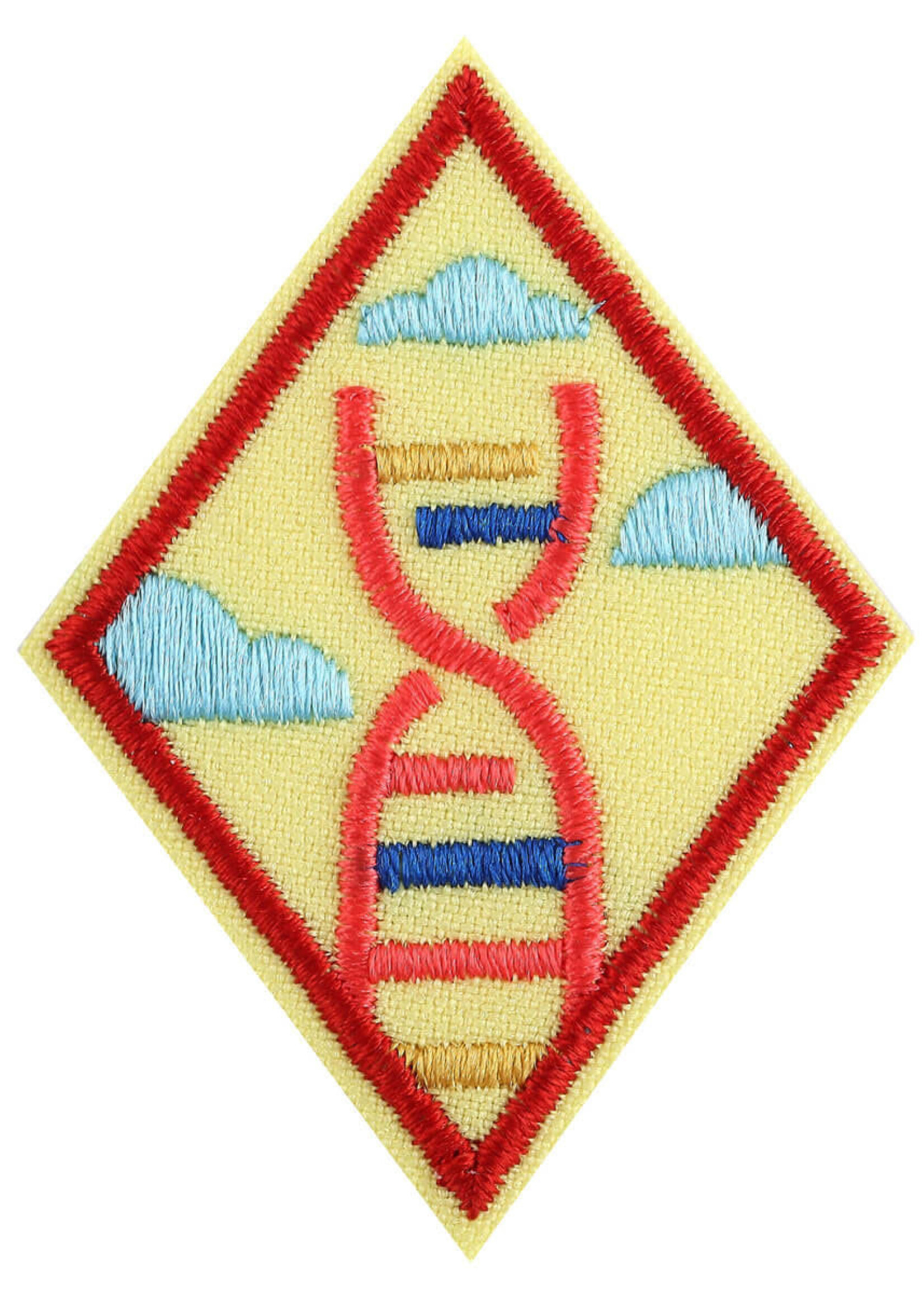 Cadette Stem Career Badge