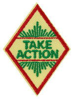 Cadette Take Action Badge