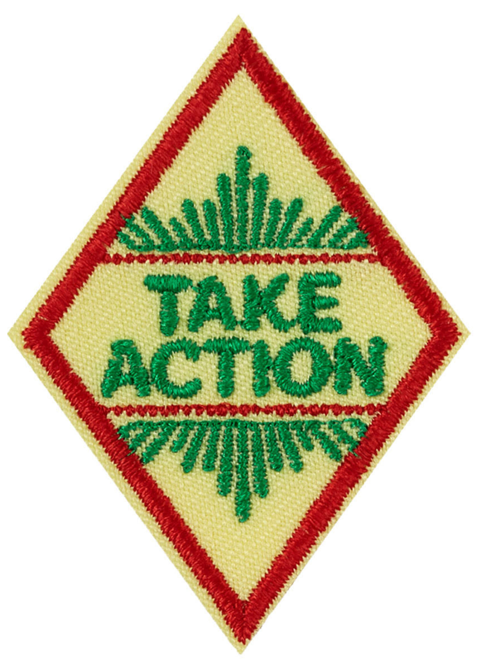 Cadette Take Action Badge