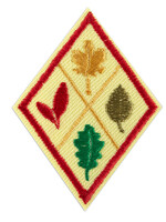 Cadette Think Like A Citizen Scientist Journey Badge