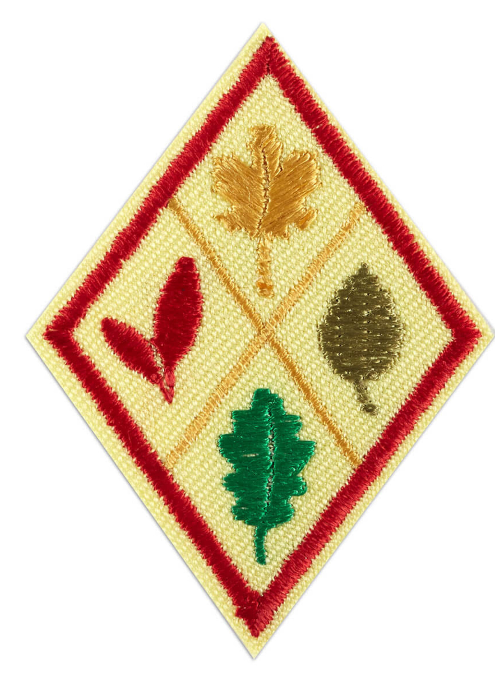 Cadette Think Like A Citizen Scientist Journey Badge