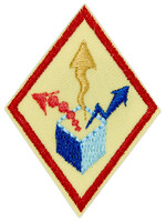 Cadette Think Like An Engineer Journey Badge