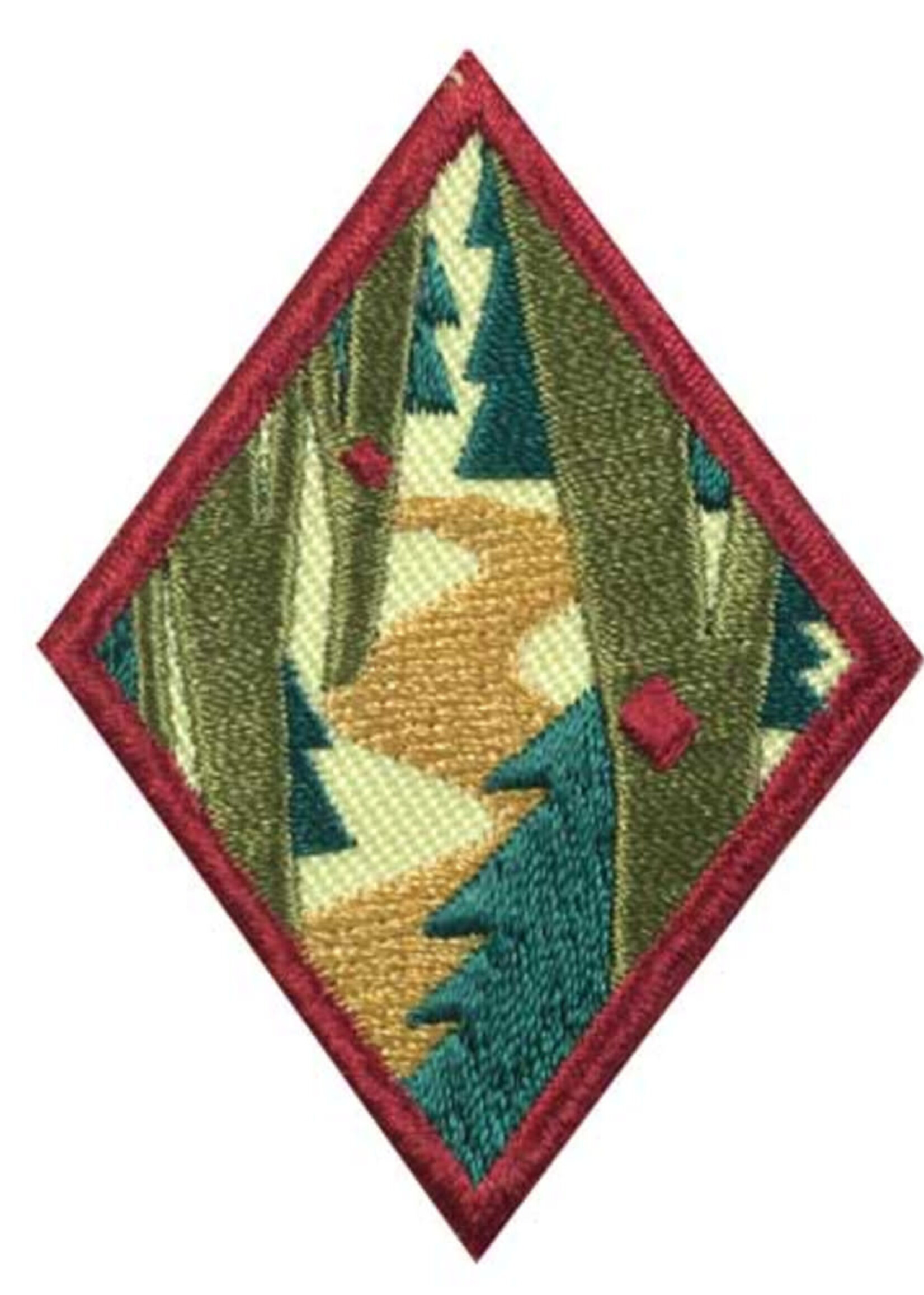 Cadette Trailblazing Badge