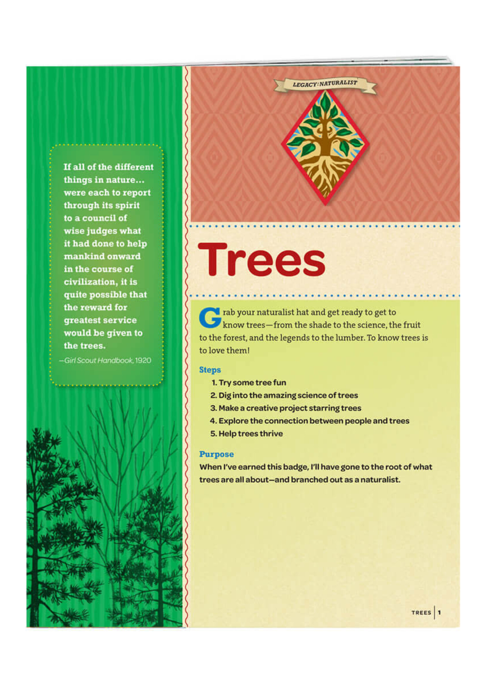 Cadette Trees Badge Requirements