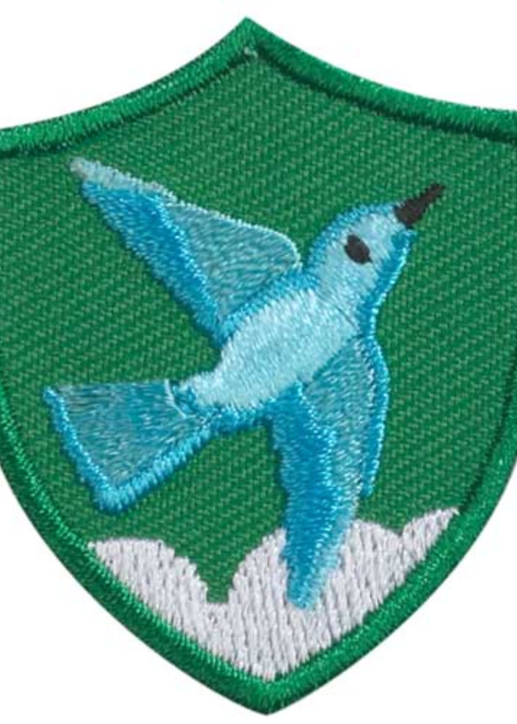 Crest Bluebird