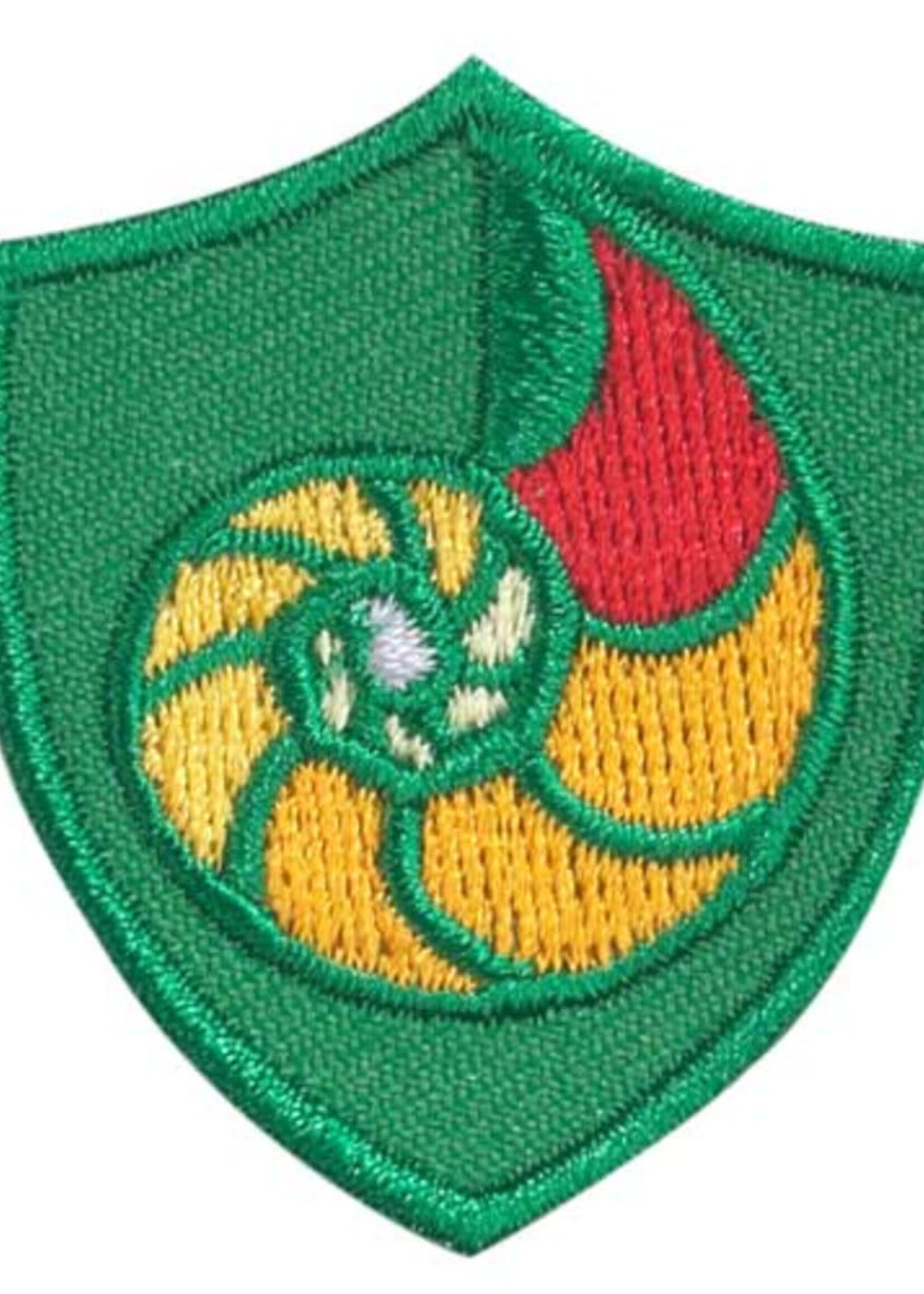 Crest Nautilus Shell