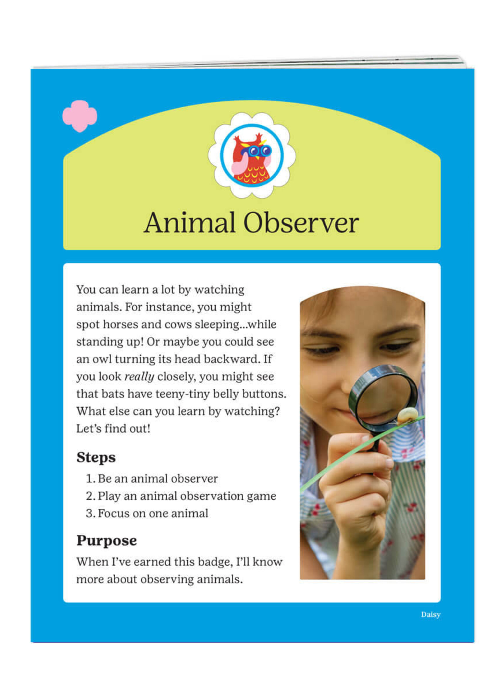 Daisy Animal Observation Badge Requirements