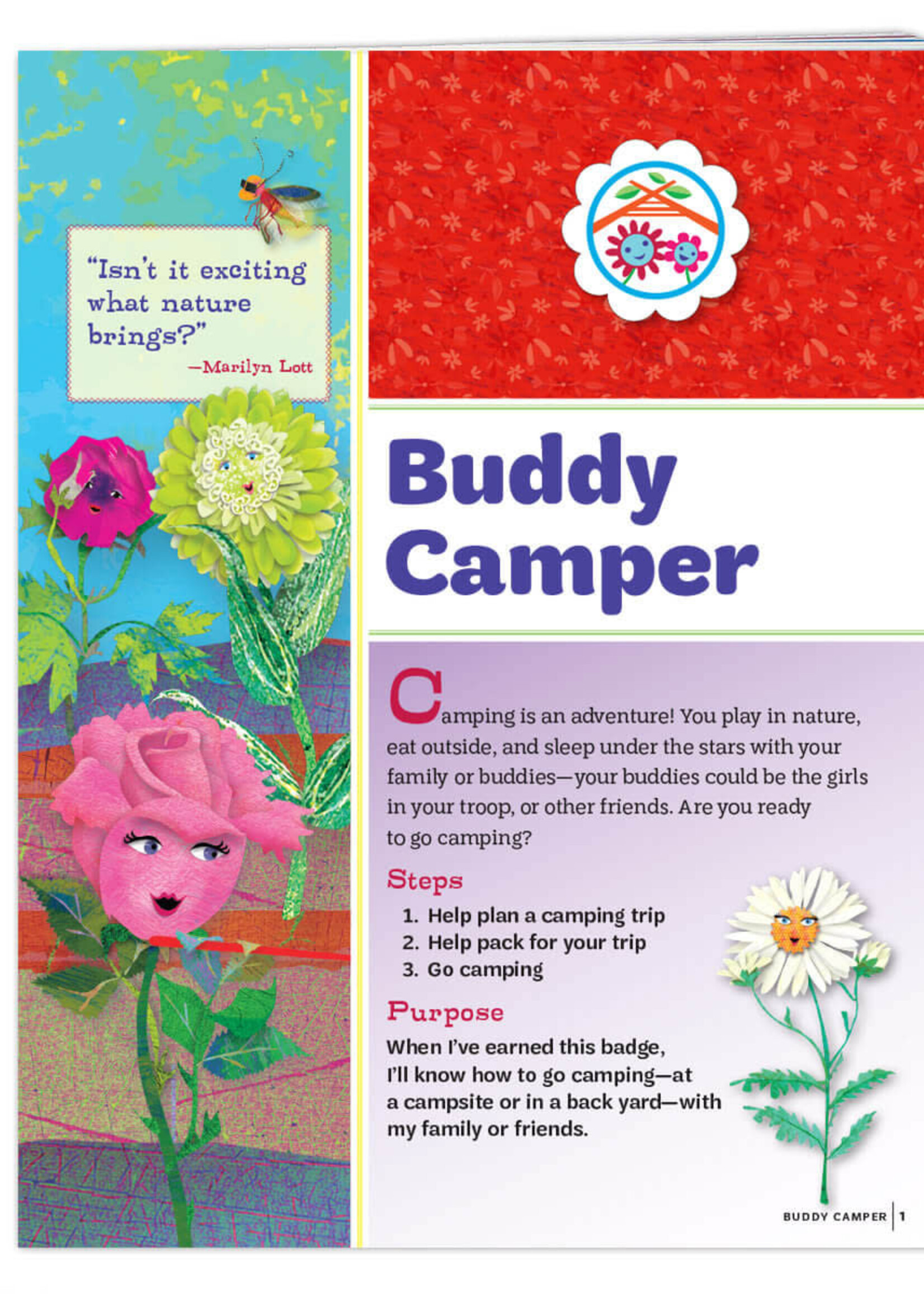Daisy Camper Badge Requirements
