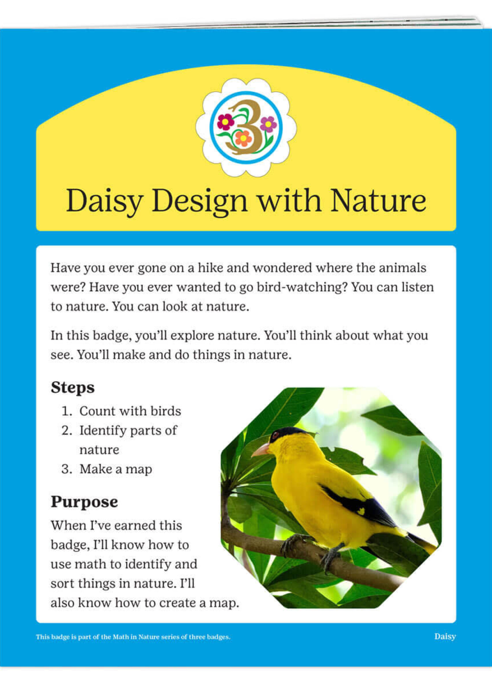 Daisy Design with Nature Badge Requirements