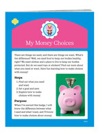 Daisy My Money Choice Badge Requirements
