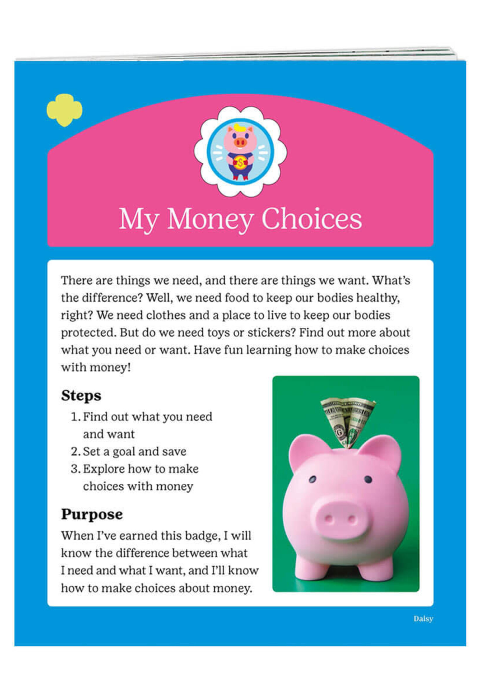 Daisy My Money Choice Badge Requirements