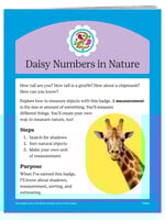 Daisy Numbers in Nature Badge Requirements