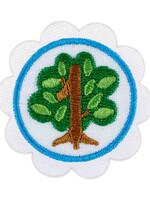 Daisy Shapes in Nature Badge