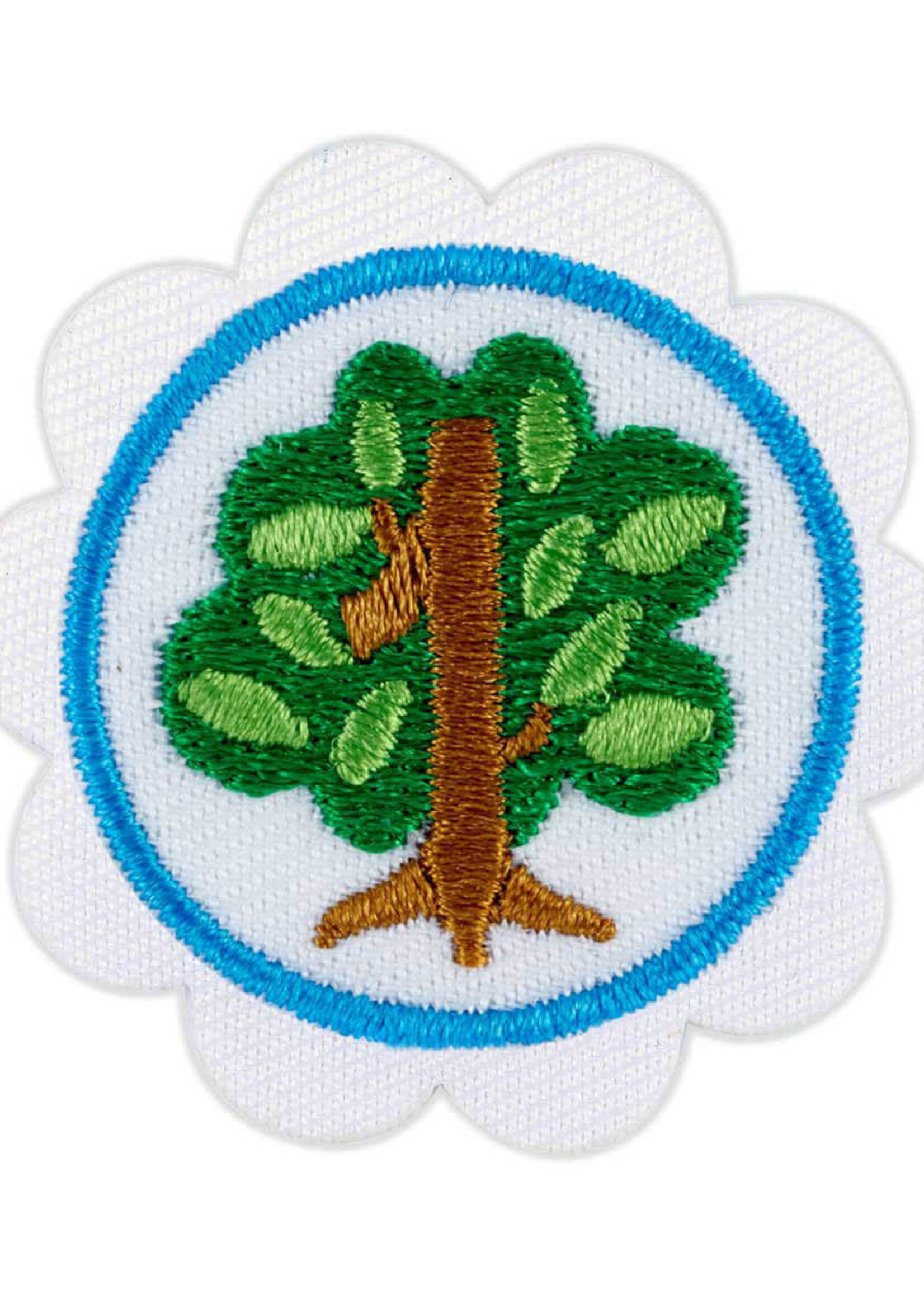 Daisy Shapes in Nature Badge