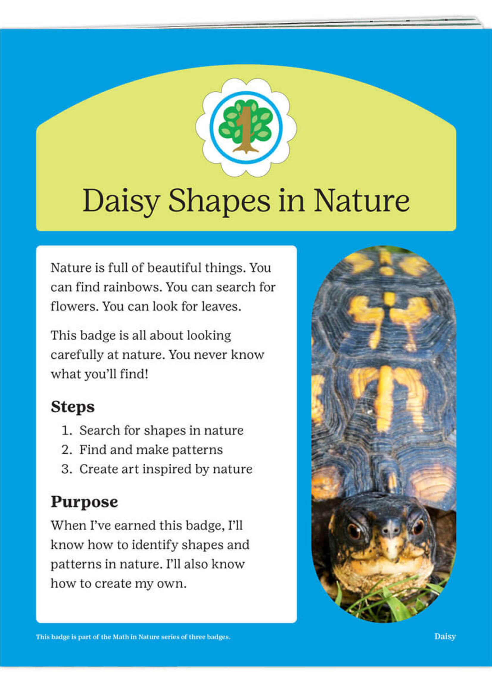 Daisy Shapes in Nature Badge Requirements