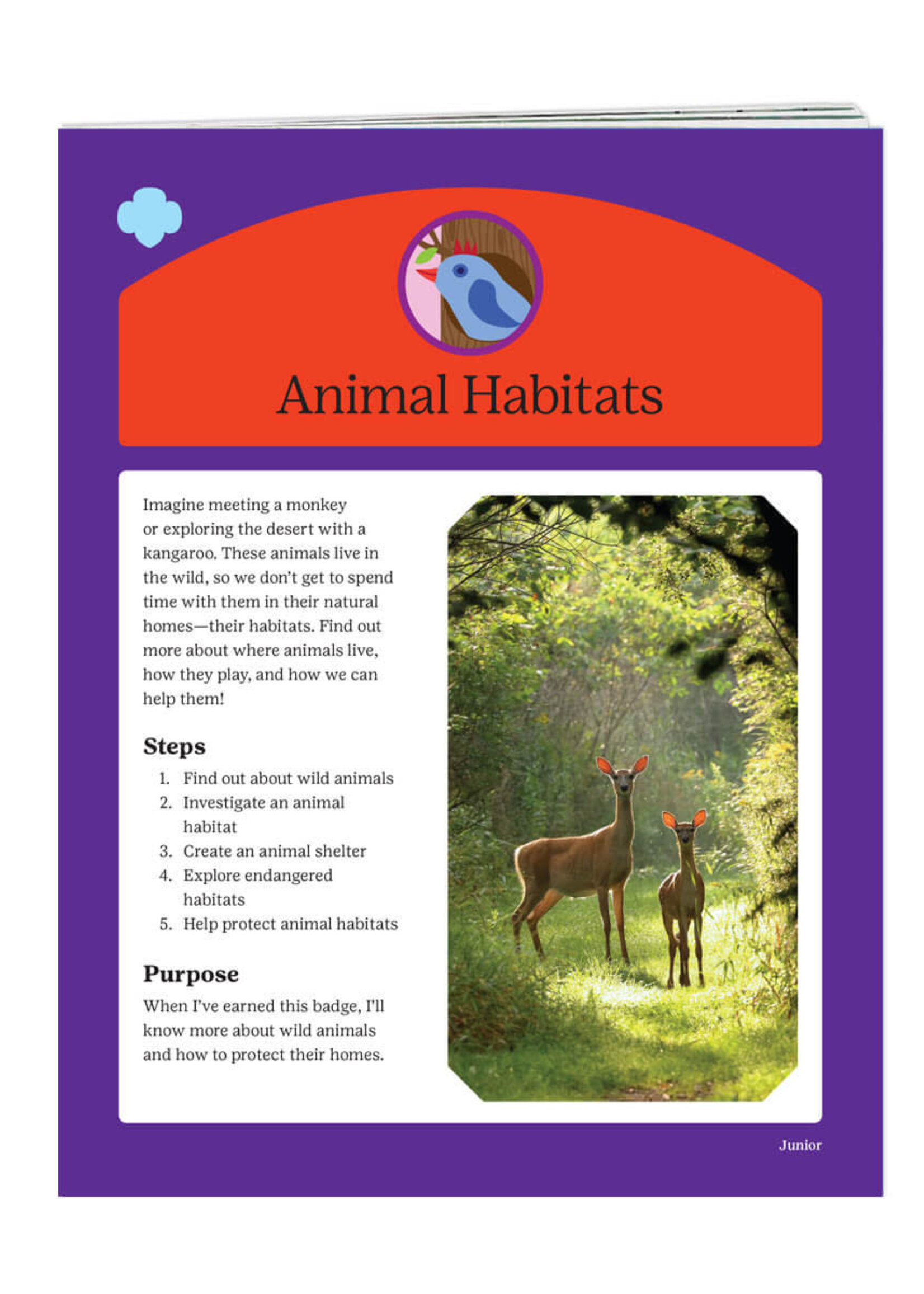 Junior Animal Habitats Badge Requirements - Updated Version