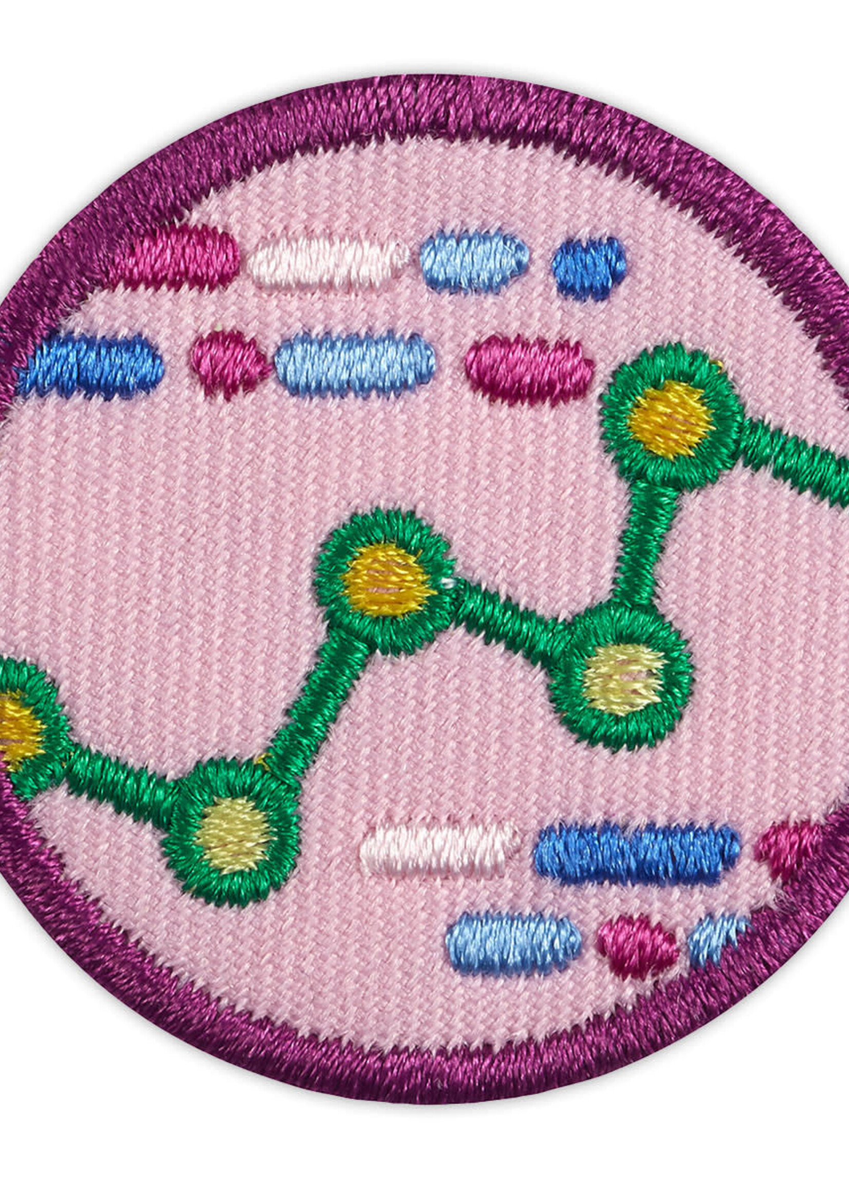 Junior Think Like Computer Science Journey Badge