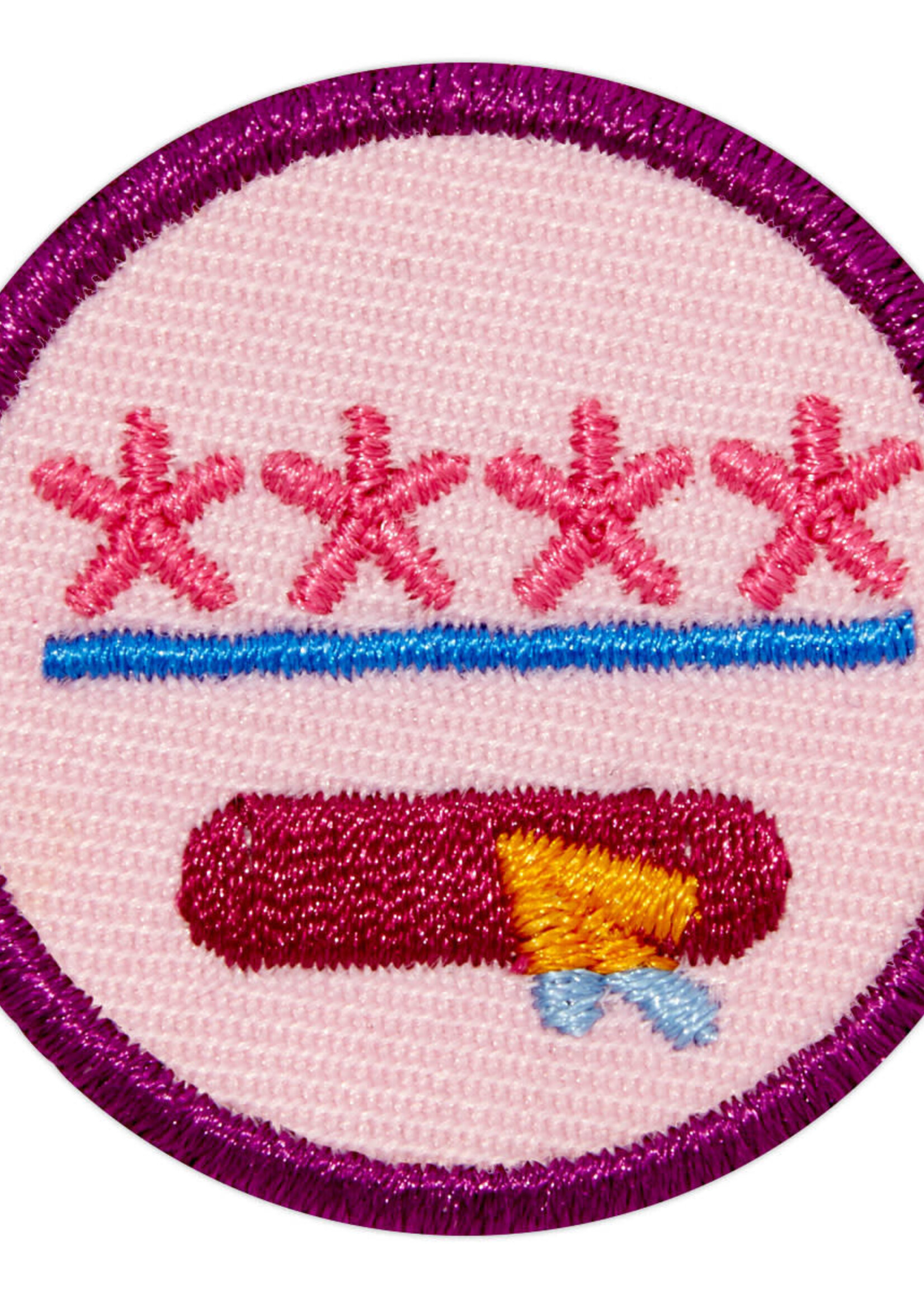 Junior CyberSecurity Safeguard Badge