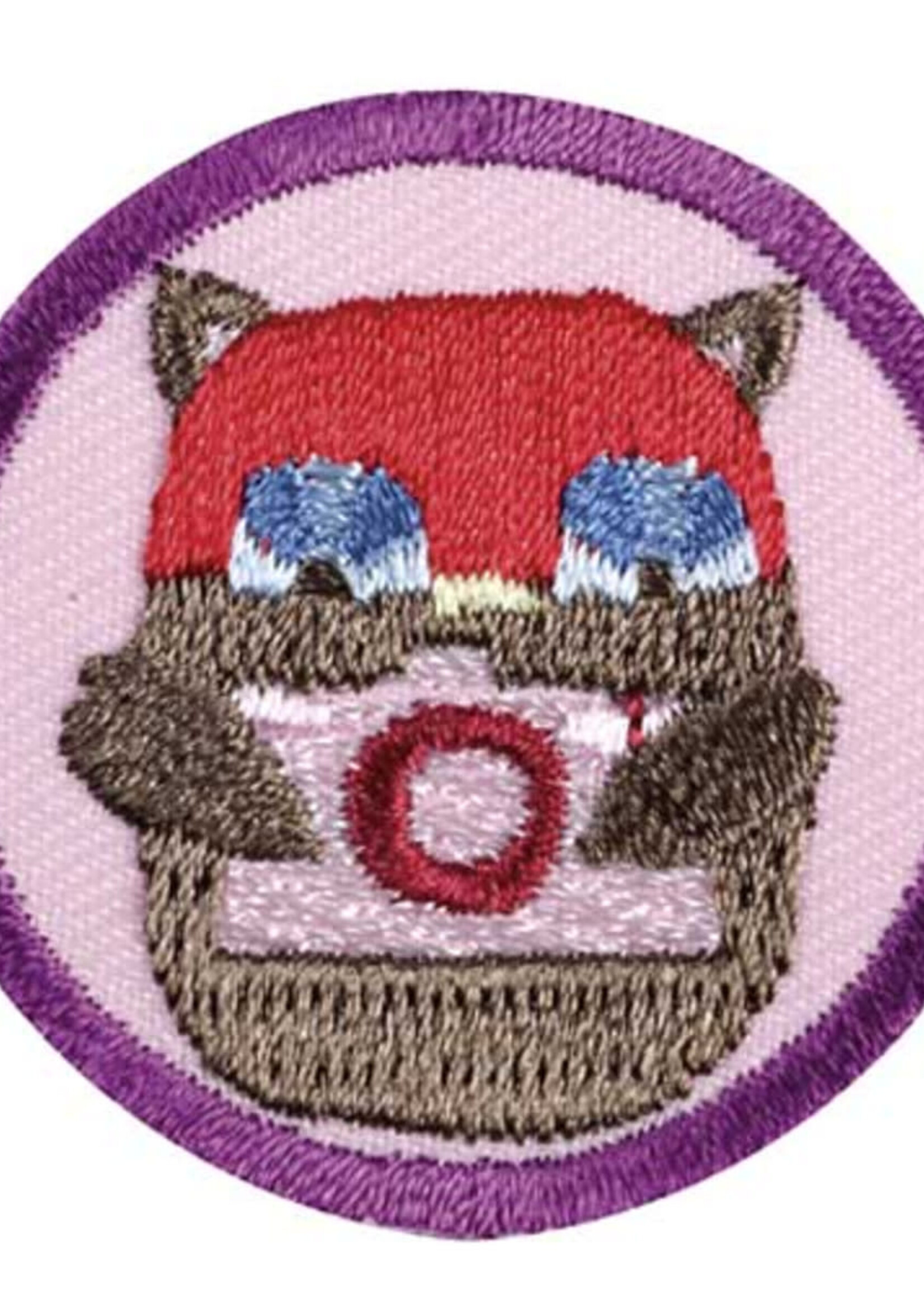 Junior Digital Photographer Badge