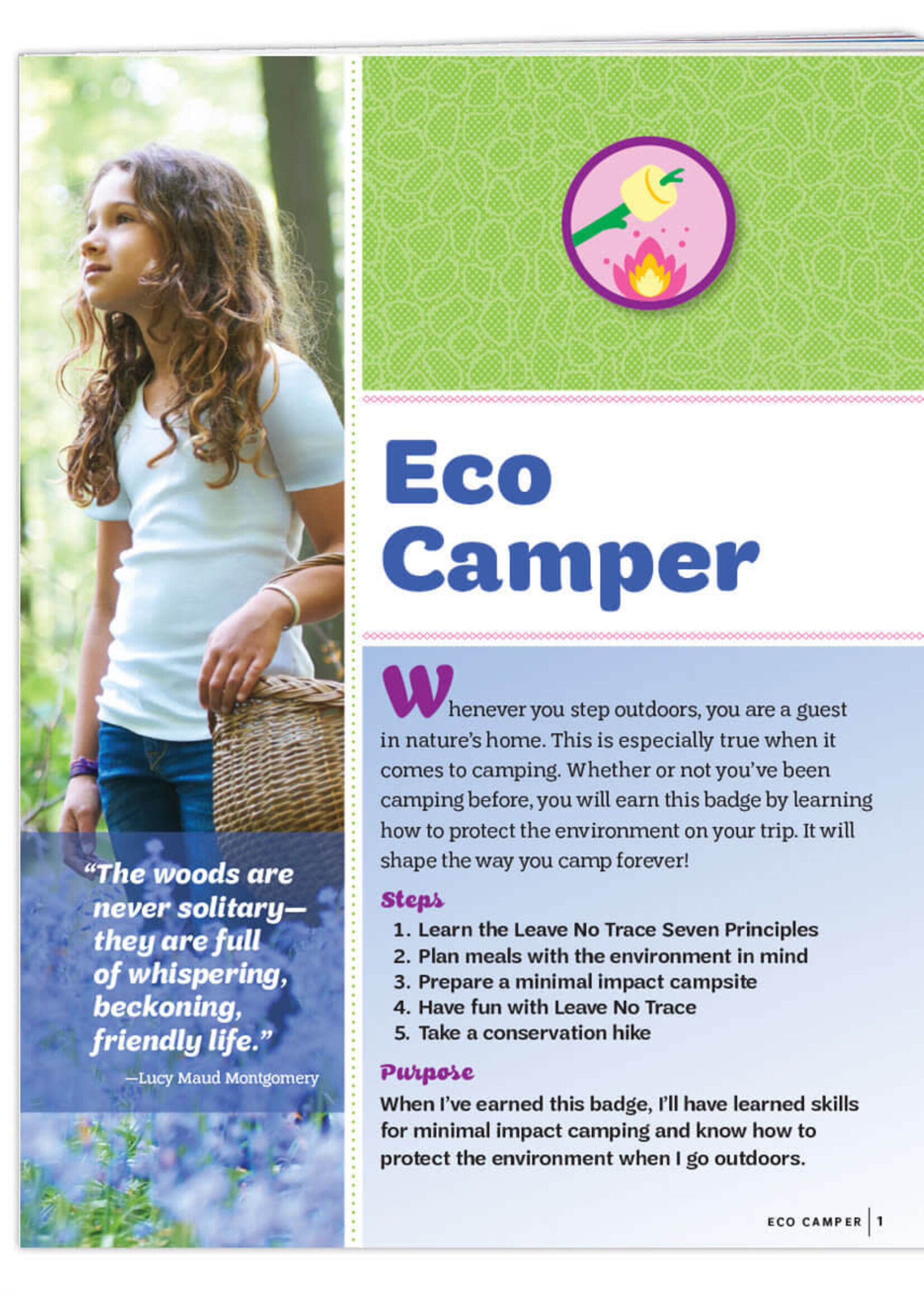 Junior Eco Camper Badge Requirements