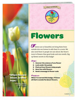 Junior Flower Badge Requirements