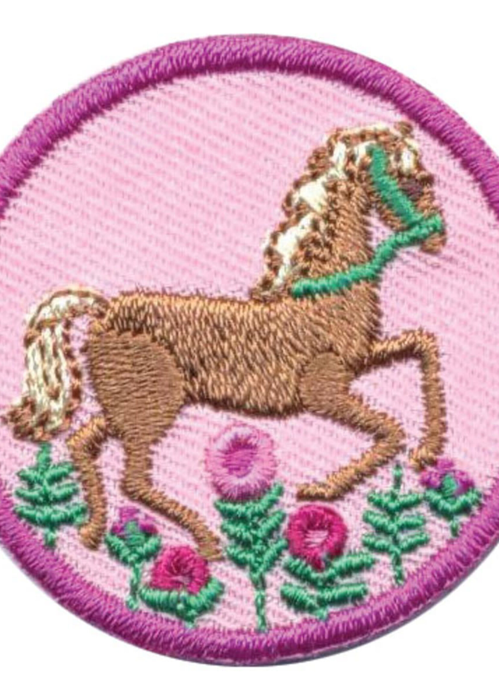 Junior Horseback Riding Badge