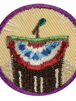 Junior Inside Government Badge