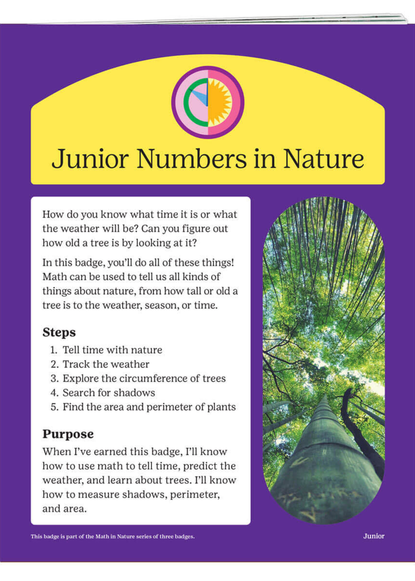 Junior Numbers in Nature Badge Requirements