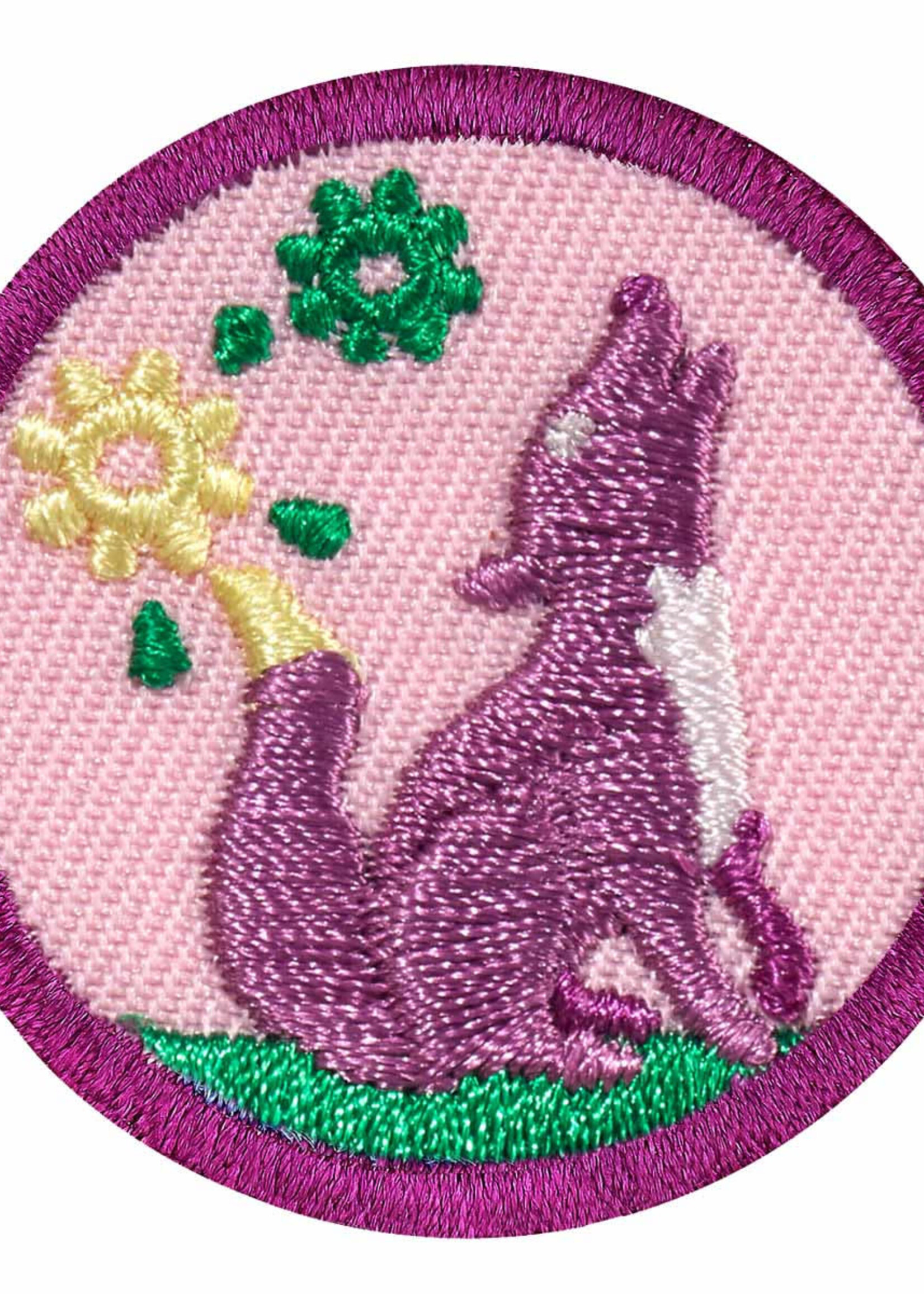 JR OUTDOOR ART EXPLORER BADGE