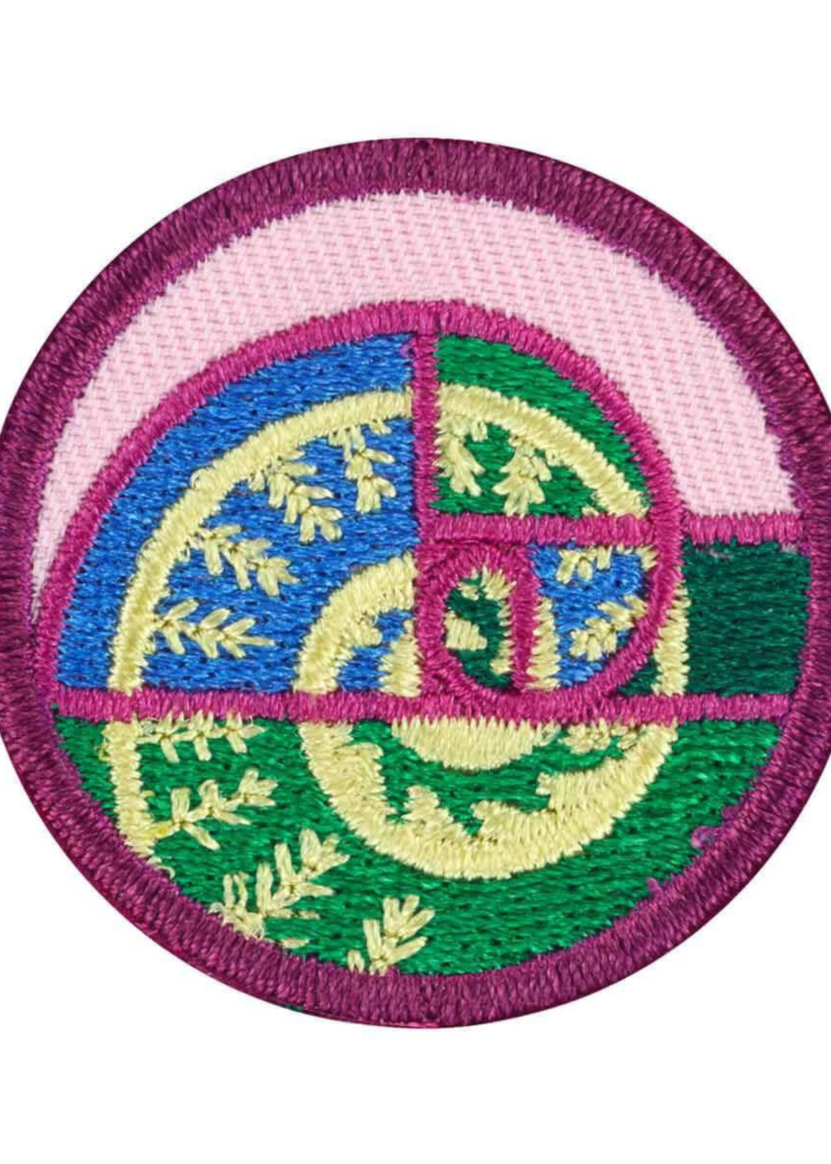 Junior Shapes In Nature Badge