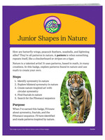 Junior Shapes in Nature Badge Requirements