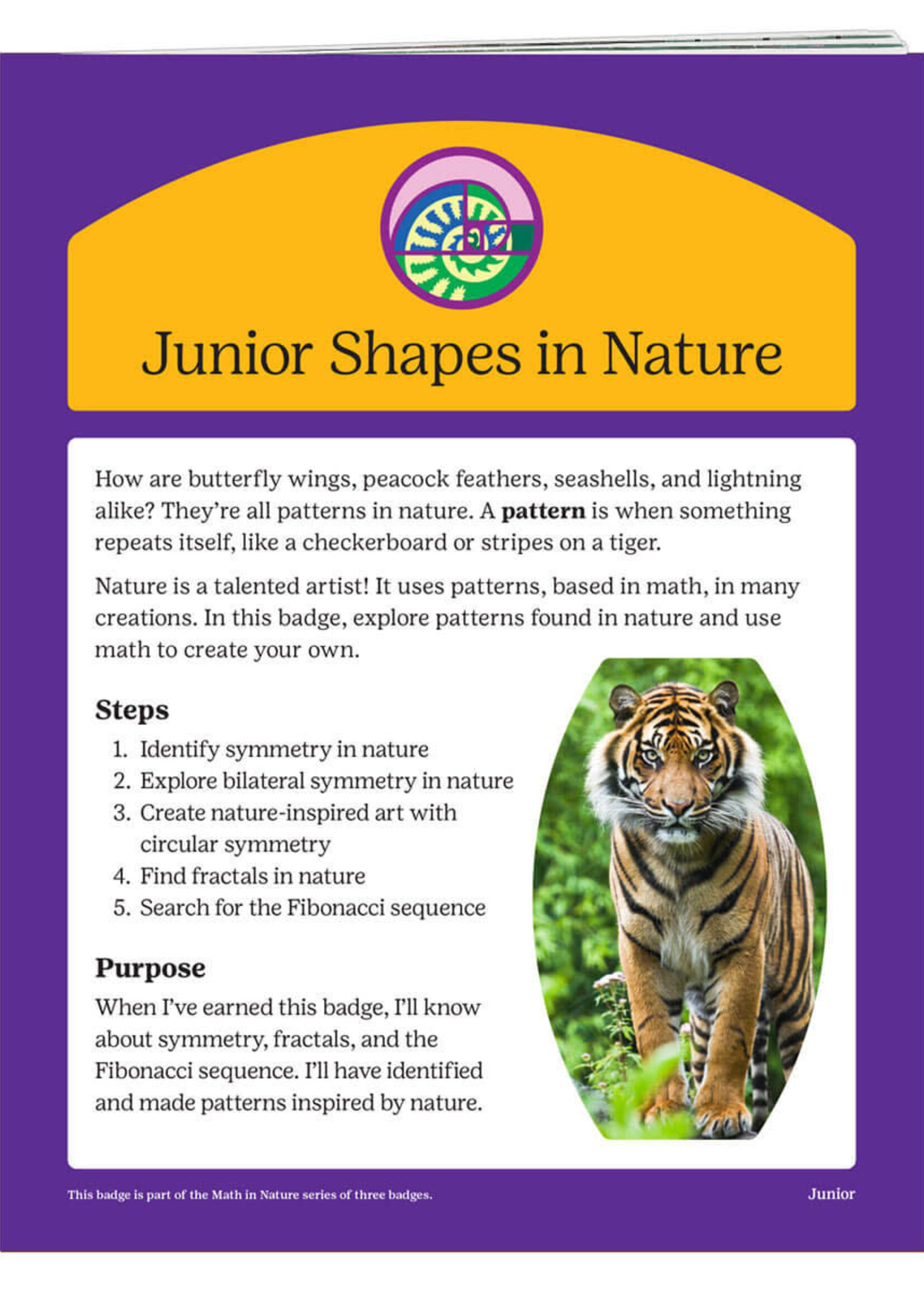 Junior Shapes in Nature Badge Requirements