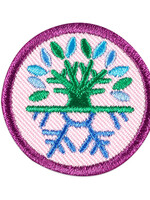 Junior Snow or Climbing Adventure Badge