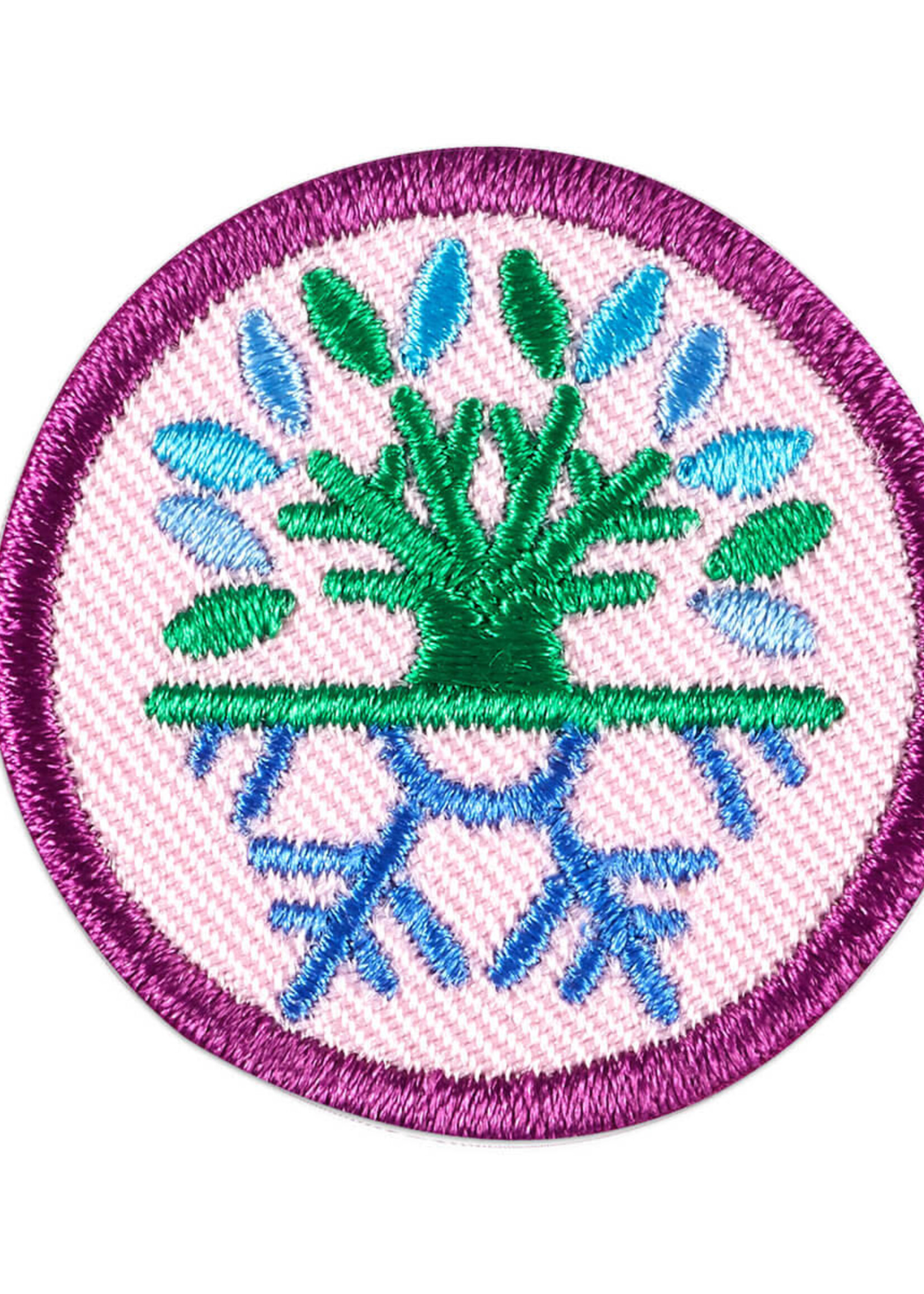 Junior Snow or Climbing Adventure Badge