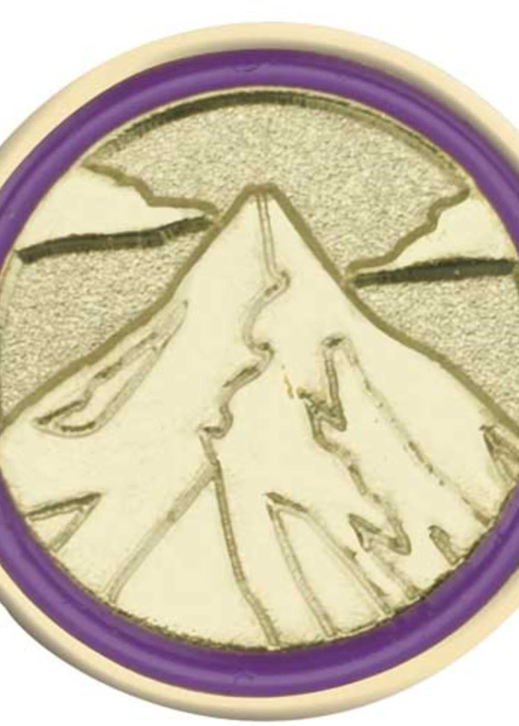 Junior Summit Journey Pin