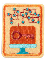 Senior CyberSecurity Basics Badge