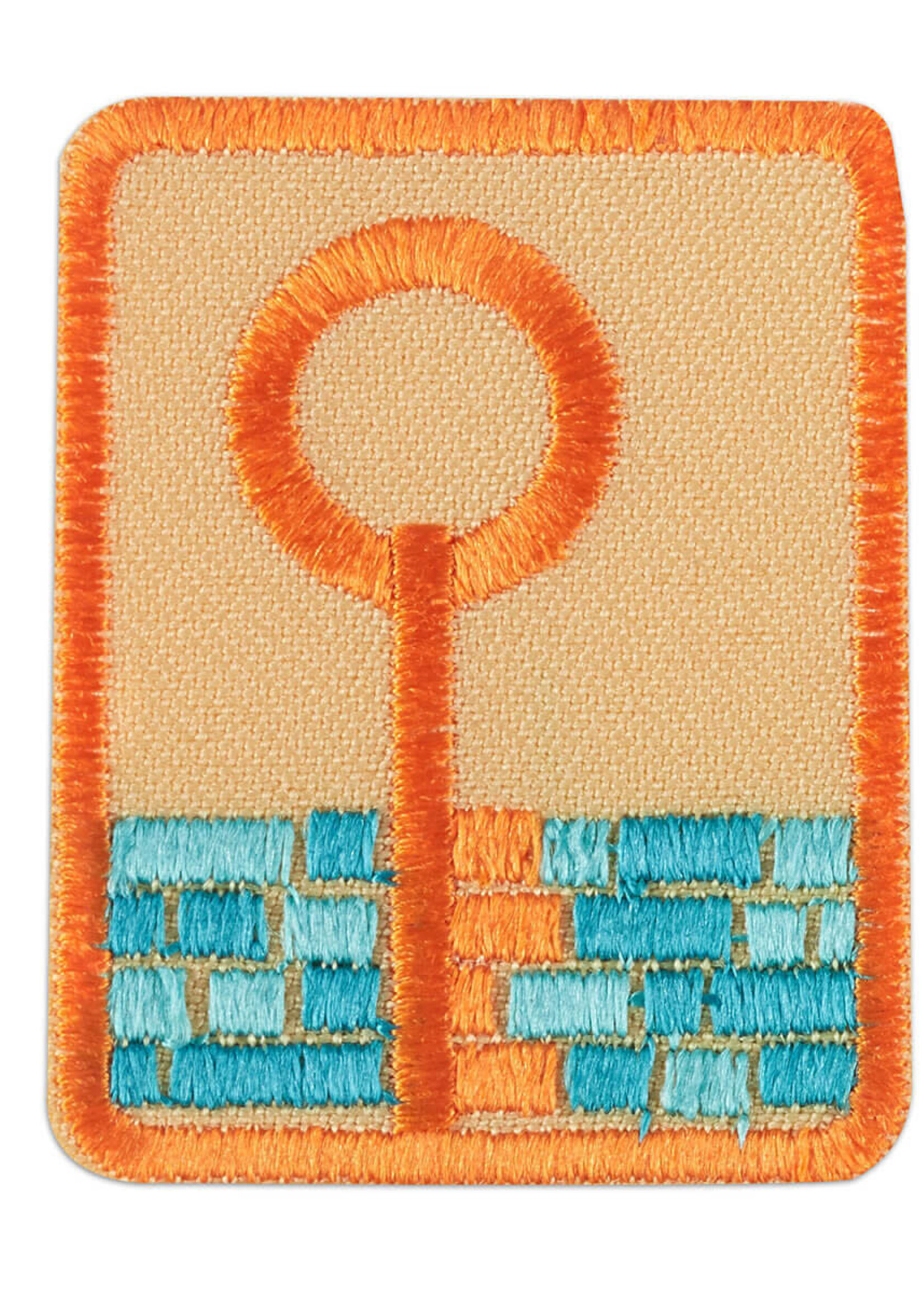 Senior CyberSecurity Safeguards Badge