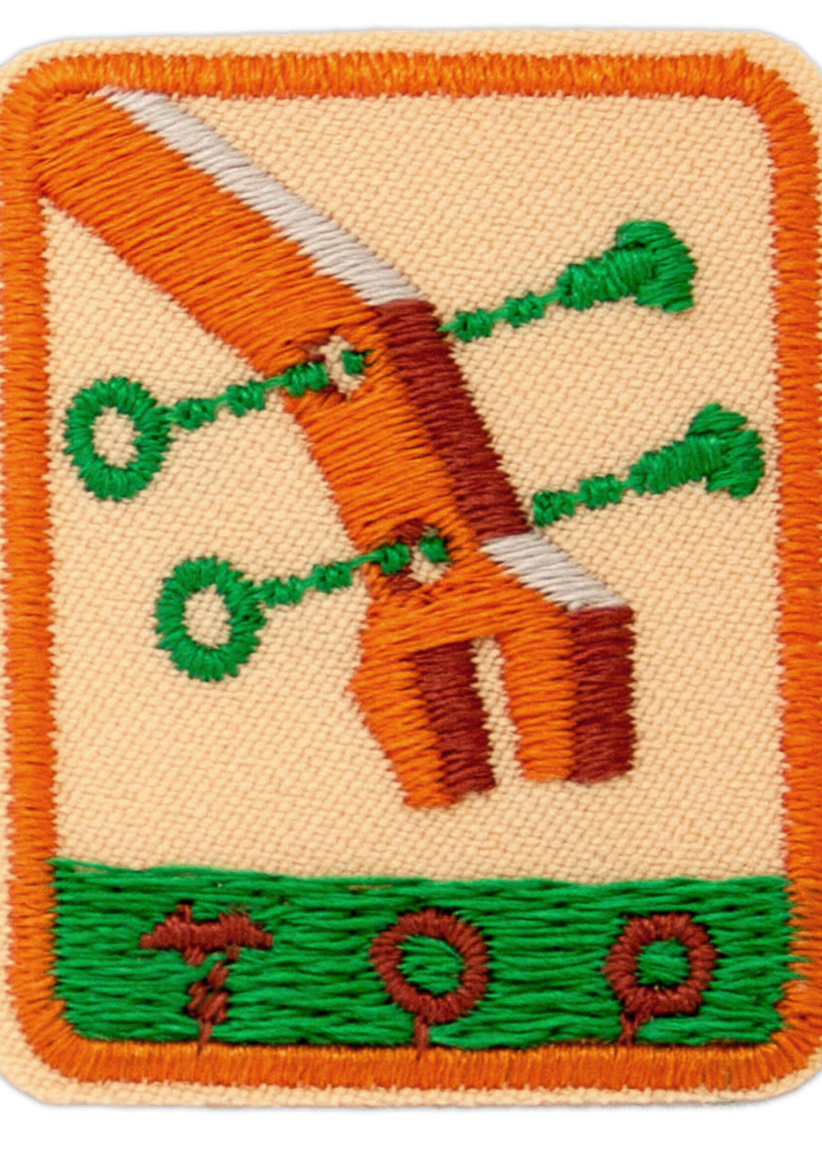 Senior Designing Robots Badge