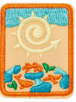Senior Eco Explorer Badge