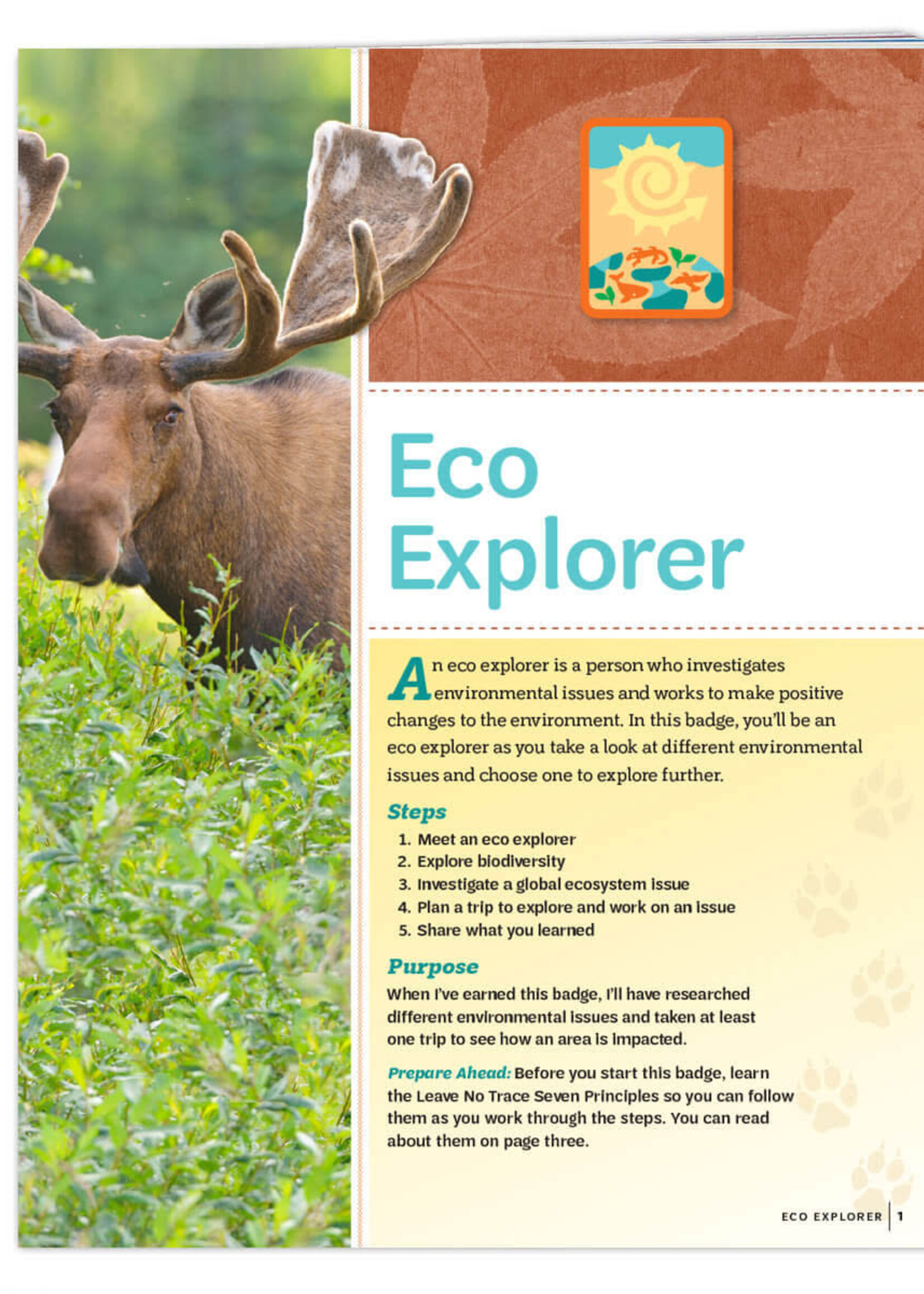 Senior Eco Explorer Badge Requirements