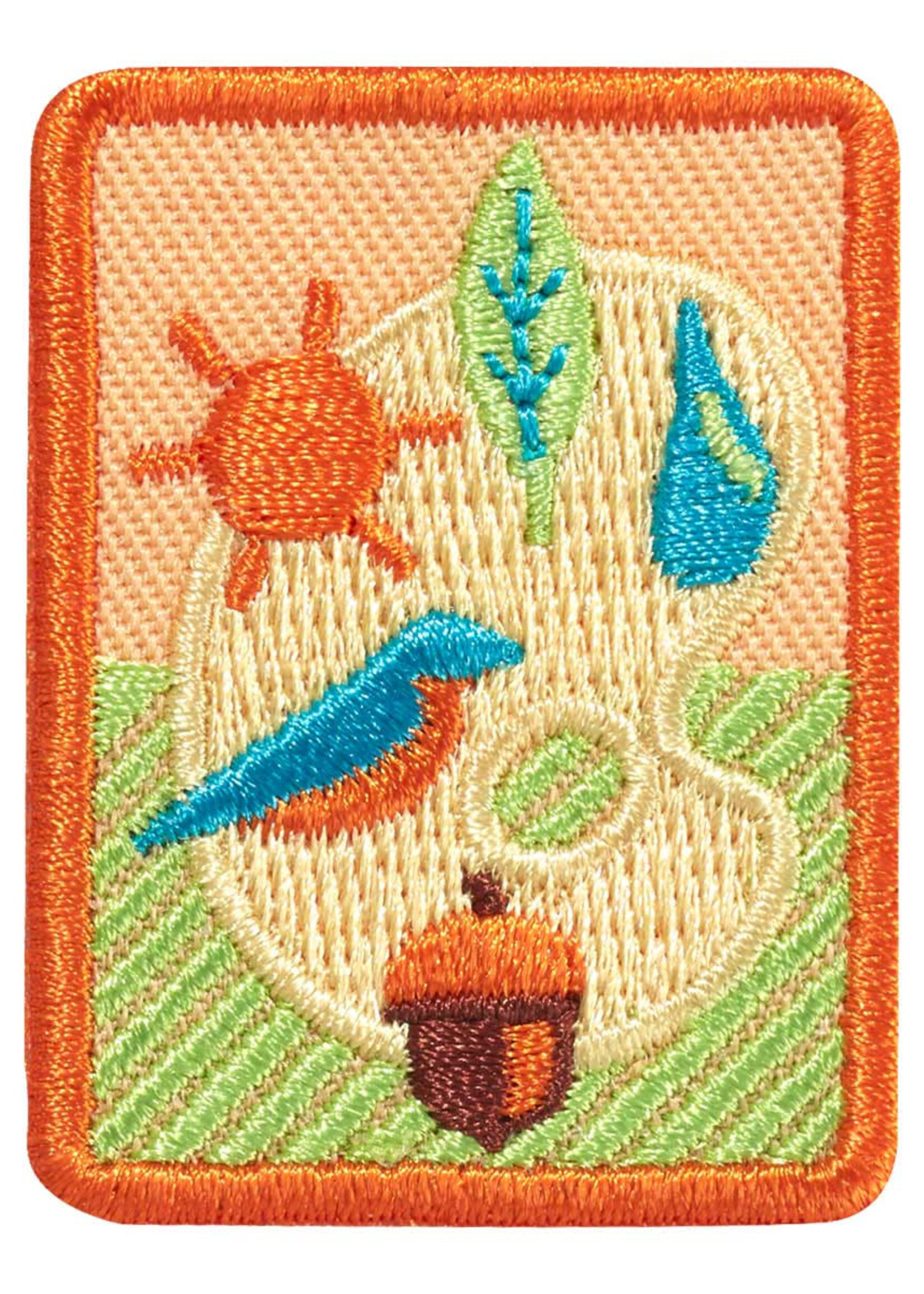 S OUTDOOR ART EXPERT BADGE