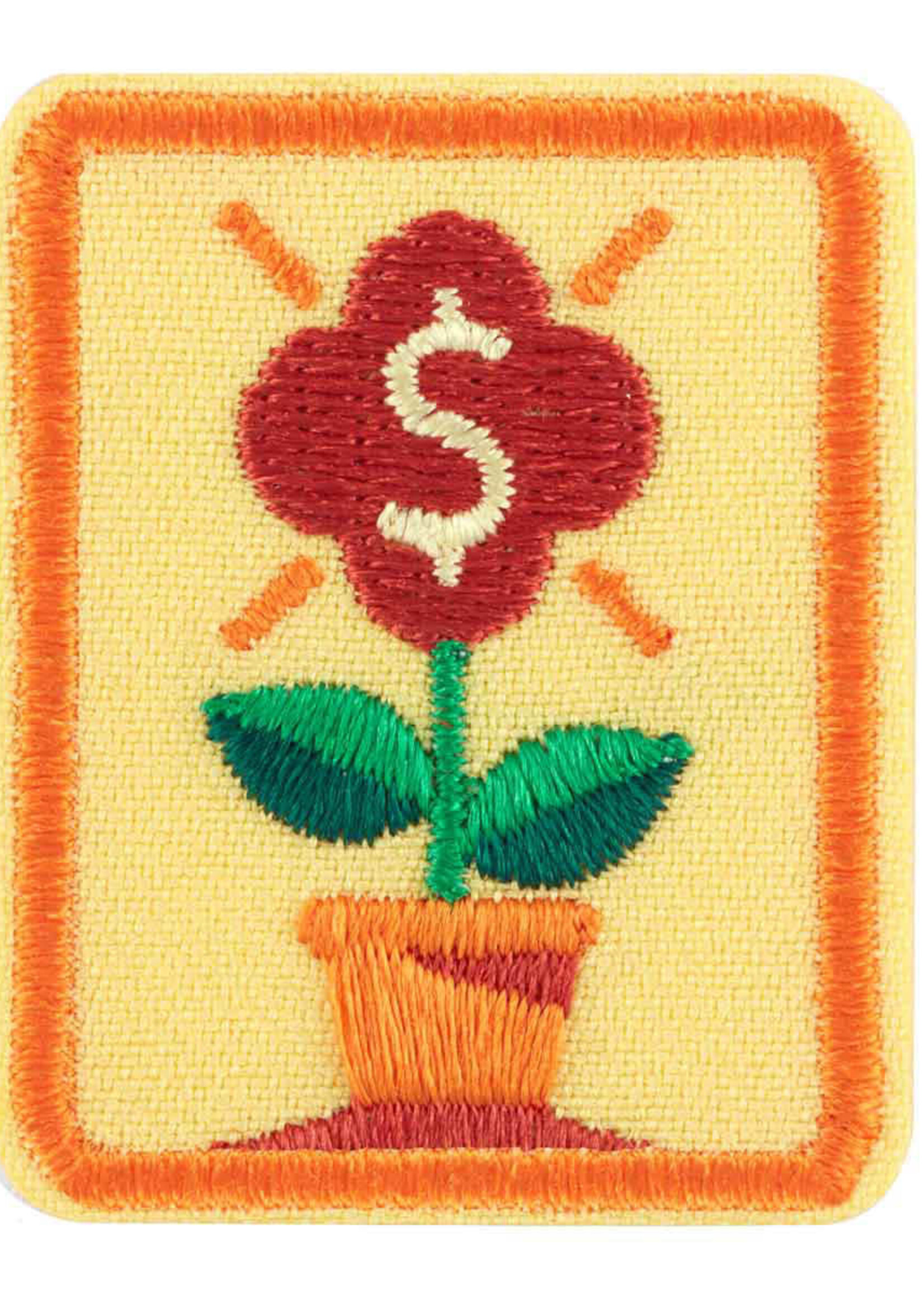 Senior Savvy Saver Badge