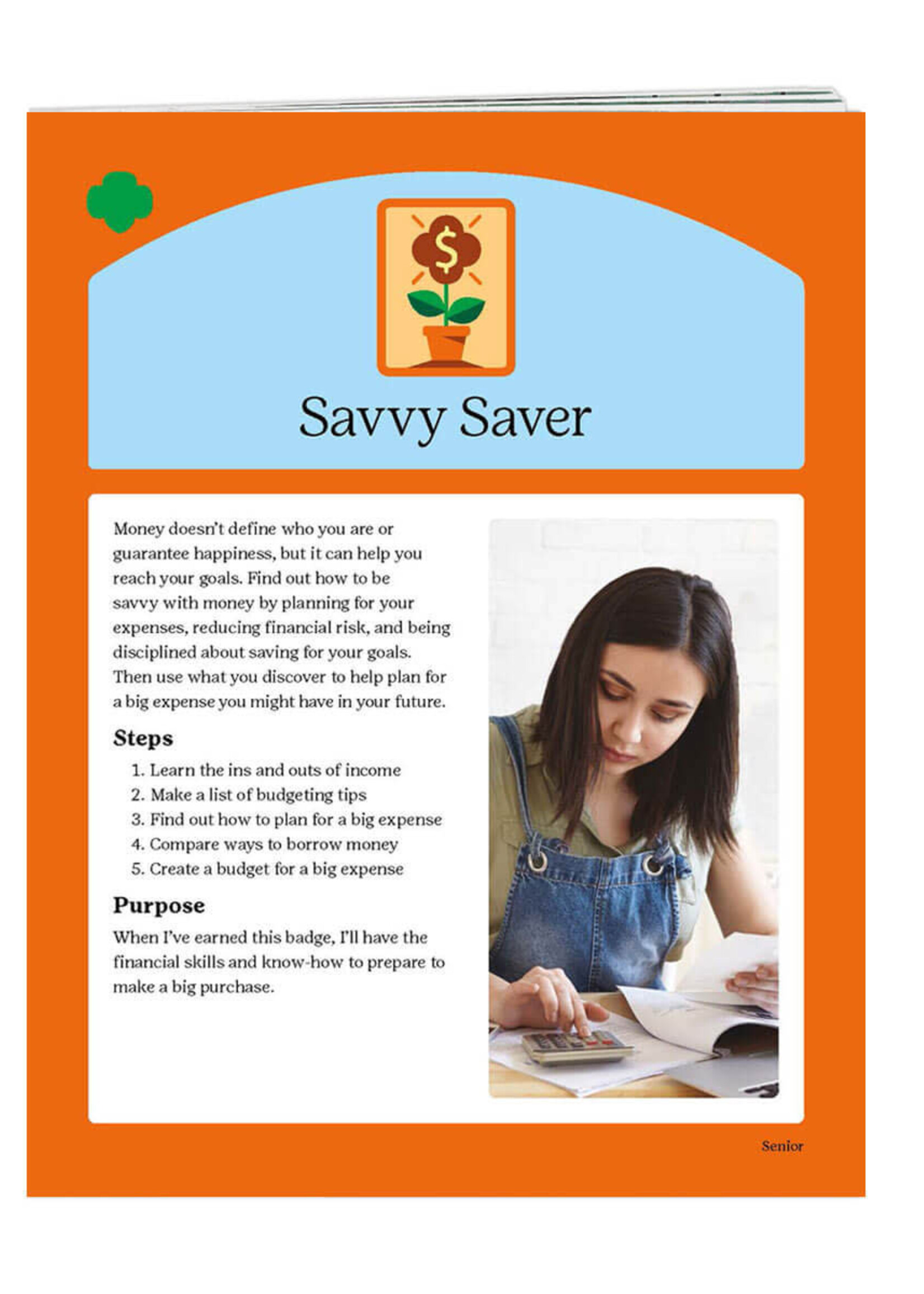 Senior Savvy Saver Badge Requirements